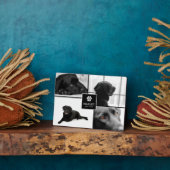 4 Foto Huisdierherdenking | Aandenken Fotoplaat (Zijkant)