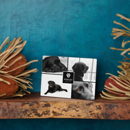 4 Foto Huisdierherdenking | Aandenken Fotoplaat (Zijkant)