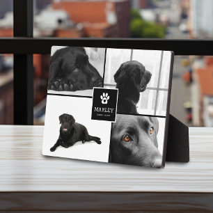 4 Foto Huisdierherdenking Aandenken Fotoplaat
