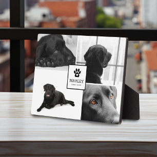 4 Foto Huisdierherdenking   Aandenken Fotoplaat