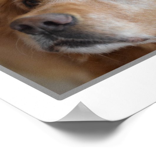 4 Foto Poster (Hoek)