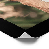 4 foto ter liefdevolle herinnering poster (Hoek)