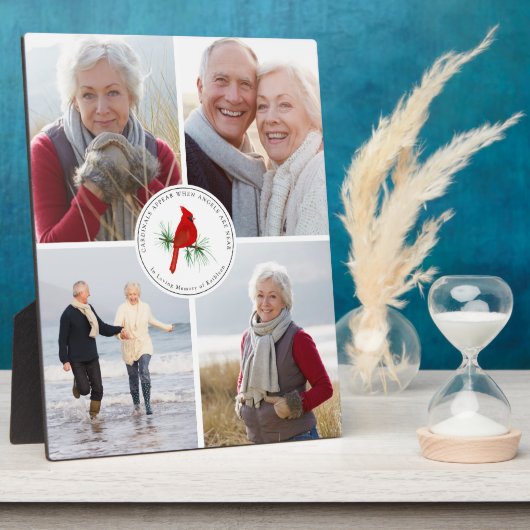 4 Foto van het hoofdartikel Memorial Fotoplaat (Zijkant)