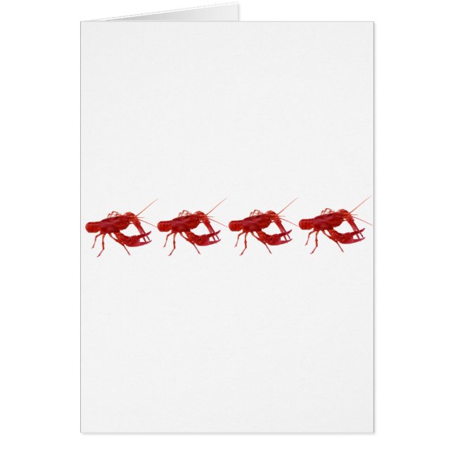 4 gekookte langoesten (Voorkant)