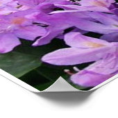 4 gele kittens poster (Hoek)