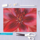 4 Grootte van weefselcadeaupapier - Aziatische Lil Tissuepapier (Craft)