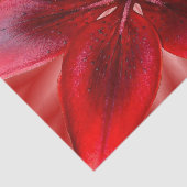 4 Grootte van weefselcadeaupapier - Aziatische Lil Tissuepapier (Detail)