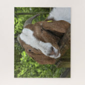 4-H Boer Goat Boerderij Legpuzzel (Verticaal)