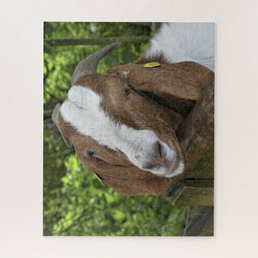 4-H Boer Goat Boerderij Legpuzzel (Verticaal)