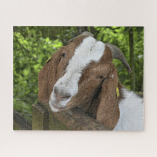4-H Boer Goat Boerderij Legpuzzel