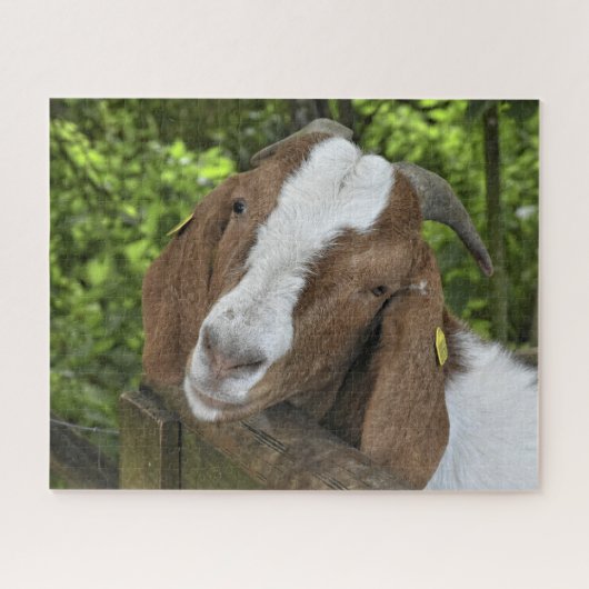 4-H Boer Goat Boerderij Legpuzzel (Horizontaal)