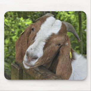4-H Boer Goat Boerderij Muismat