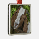 4-H Boer Goat Nanny Metalen Ornament (Rechts)