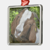 4-H Boer Goat Nanny Metalen Ornament (Links)