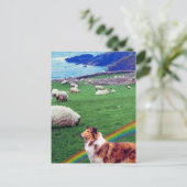4.  Ierse kusten, collie en kudde schapen #2 Briefkaart (Staand voorkant)