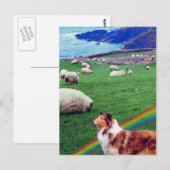 4.  Ierse kusten, collie en kudde schapen #2 Briefkaart (Voorkant / Achterkant)