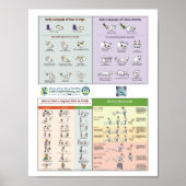 4 in 1 Poster (Voorkant)