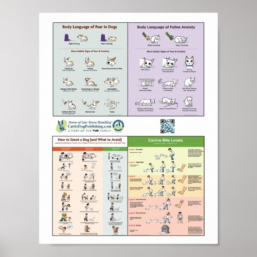 4 in 1 Poster (Voorkant)