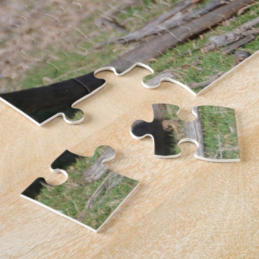 4-in-1 Quokka van Australië Dier, 1014 stuks Legpuzzel (Zijkant)