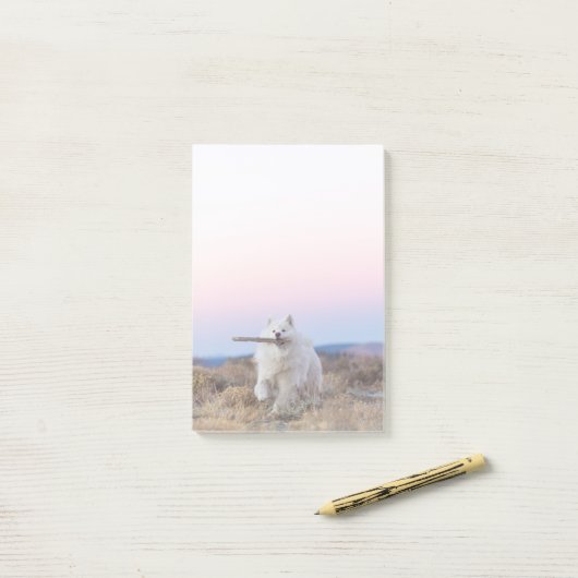 4-inch x6-post-it notities - Branch Manager Post-it® Notes (Op bureau)