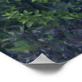 4 juli (82) Canvas Poster (Hoek)