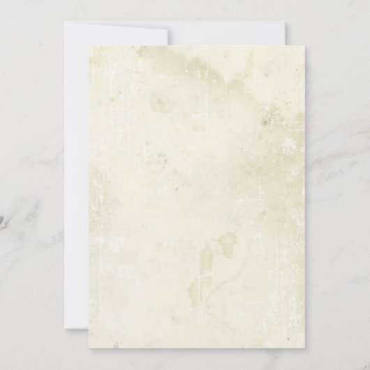 4 juli BBQ Cookout Invitations Kaart (Achterkant)