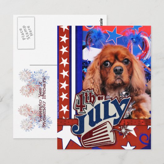 4 juli - Cavalier King Charles Spaniel - Cooper Briefkaart (Voorkant / Achterkant)