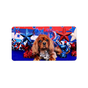 4 juli - Cavalier King Charles Spaniel - Cooper Etiket