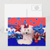 4 juli - Chinese Crested - Dash Briefkaart (Voorkant / Achterkant)