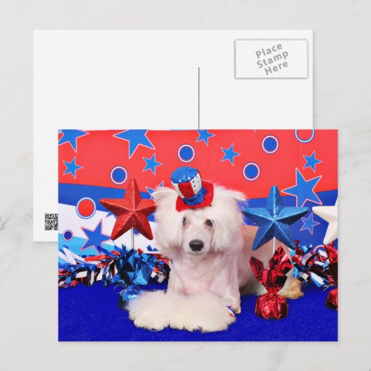 4 juli - Chinese Crested - Dash Briefkaart (Voorkant / Achterkant)