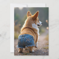 4 juli Corgi Dog