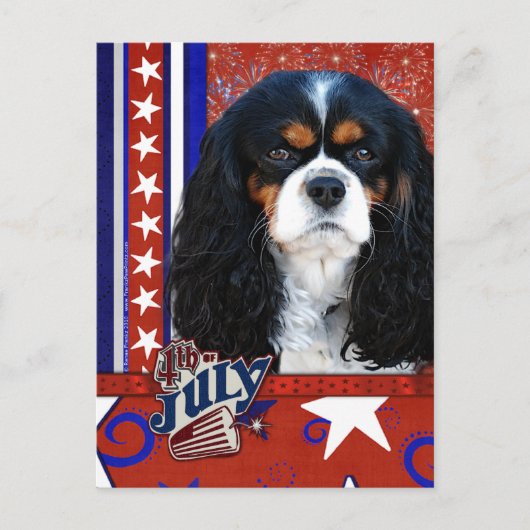 4 juli Firecracker - Cavalier - Tri-color Briefkaart (Voorkant)