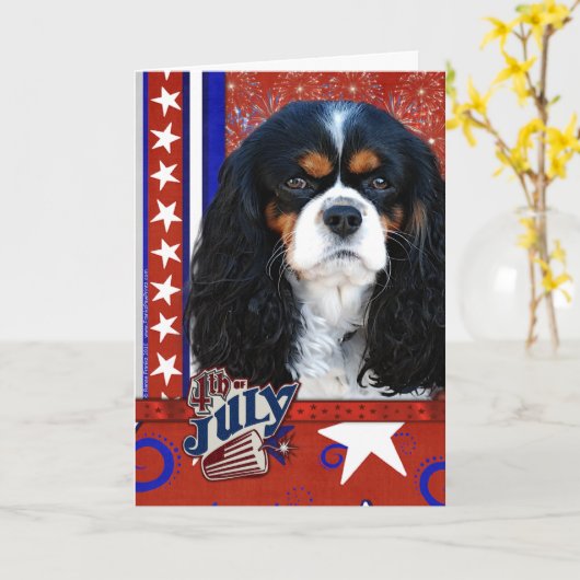 4 juli Firecracker - Cavalier - Tri-color Kaart (Gele Bloem)
