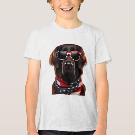 4 juli Juneteenth Freedom Unity & Power NL Tri-Blend Shirt (Voorkant)