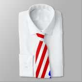 4 juli Necktie, Amerikaans Stropdas van de Vlag (Gebonden)