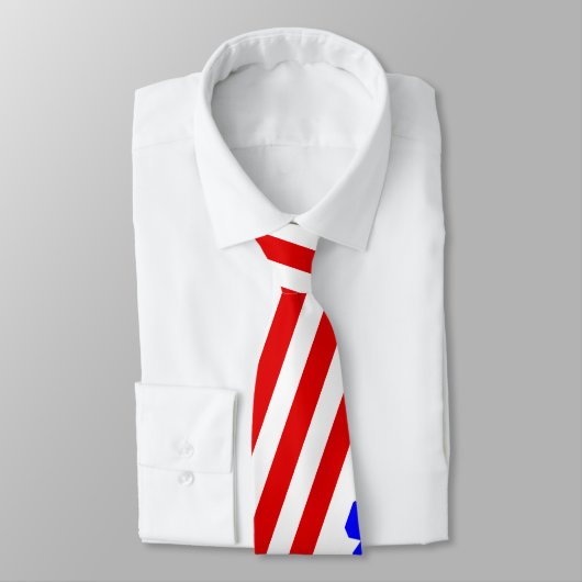 4 juli Necktie, Amerikaans Stropdas van de Vlag (Gebonden)