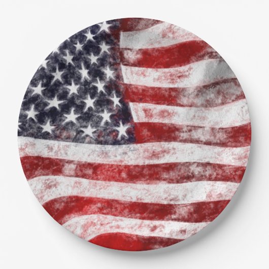 4 juli Picnic Paper Borden, Amerikaanse vlag Papieren Bordje (Voorkant)