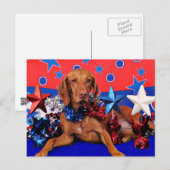4 juli - Vizsla - Reagan Briefkaart (Voorkant / Achterkant)