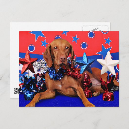4 juli - Vizsla - Reagan Briefkaart (Voorkant / Achterkant)