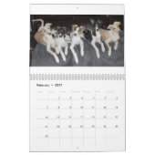 4 Kalender voor Silken Windhound-Puppies 2016 (Feb 2027)