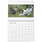 4 Kalender voor Silken Windhound-Puppies 2016 (Mar 2027)