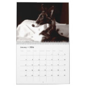 4 Kalender voor Silken Windhound-Puppies 2016 (Jan 2026)