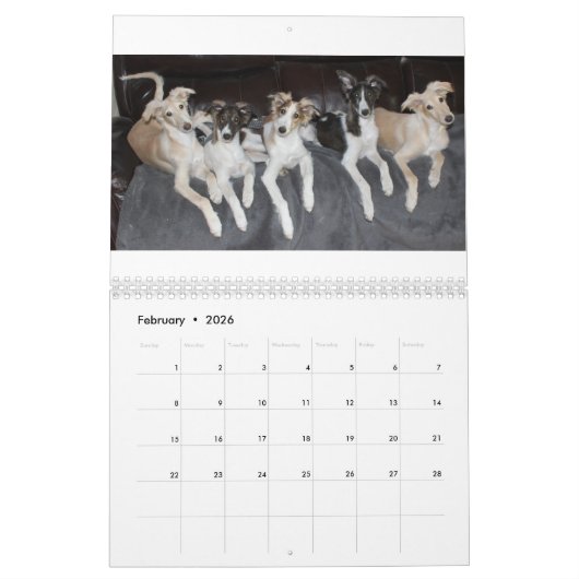 4 Kalender voor Silken Windhound-Puppies 2016 (Feb 2026)