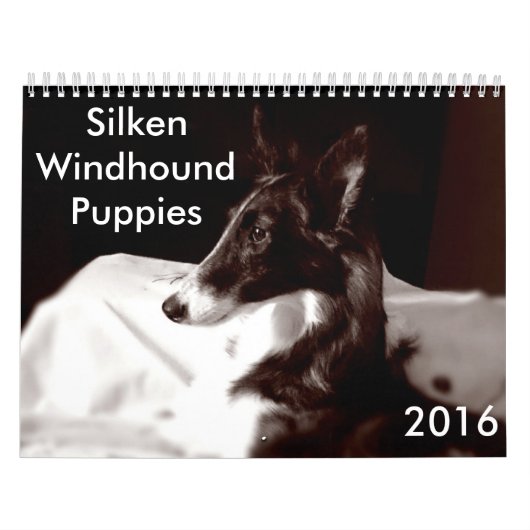 4 Kalender voor Silken Windhound-Puppies 2016 (Hoes)