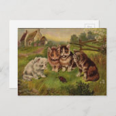 4 Katten die spelen met het Briefkaart van de Vint (Voorkant / Achterkant)