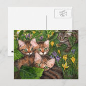 4 Kittens Crocus Briefkaart (Voorkant / Achterkant)