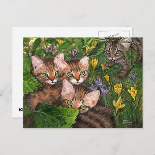 4 Kittens Crocus Briefkaart (Voorkant / Achterkant)