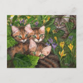 4 Kittens Crocus Briefkaart (Voorkant)
