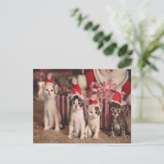 4 Kittens Kerst Kaart (Staand voorkant)