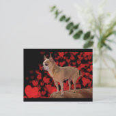 4 lbs Pure Love Briefkaart (Staand voorkant)